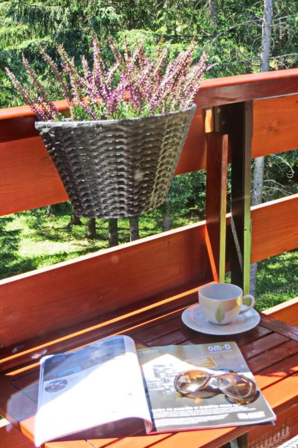 Koscielisko Residence Apartament Halszka 29C Экстерьер фото